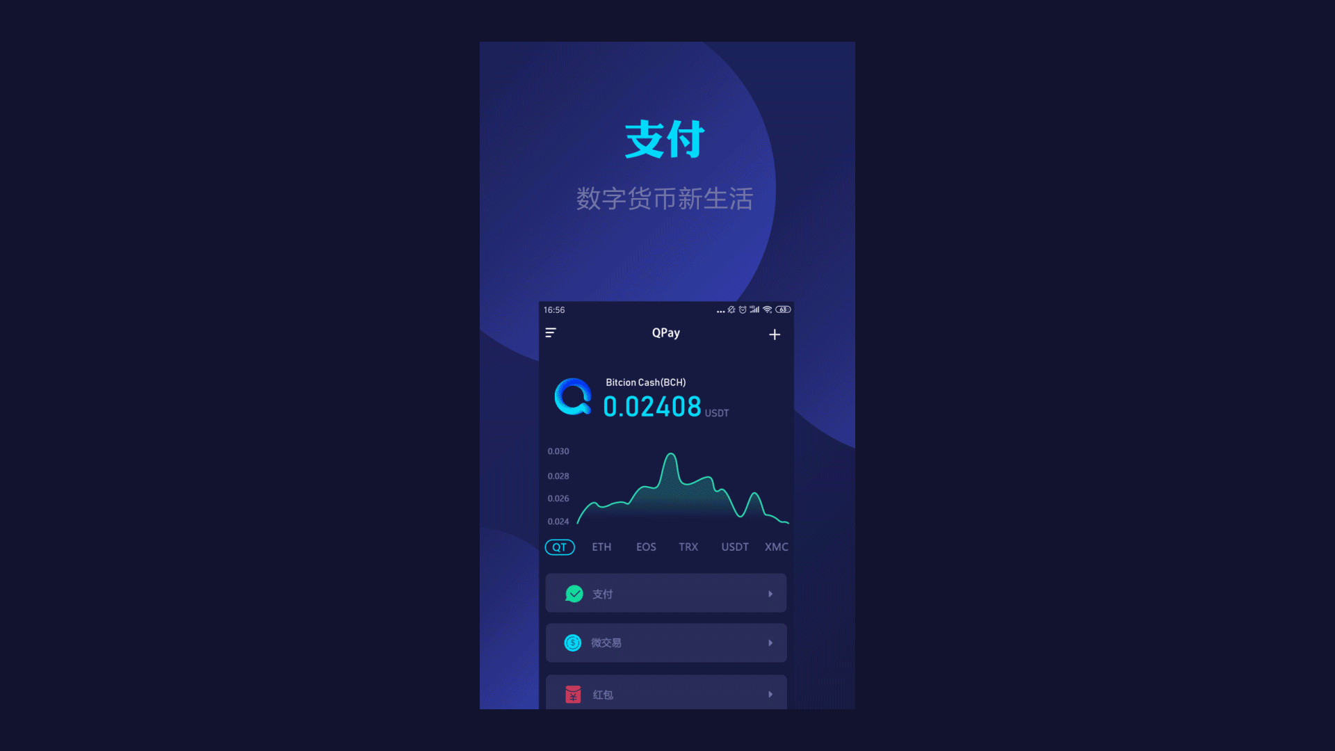 付费要多少钱_imtoken要付费吗_付费要几块钱