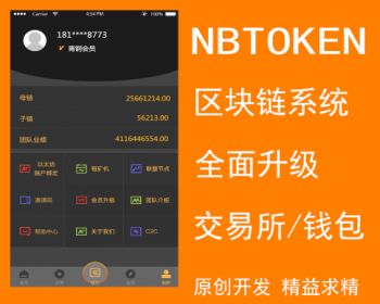 代币是什么意思_imtoken 代币_代币制