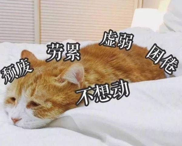 误删钱包_钱包app被删除了_im钱包卸载了怎么找回