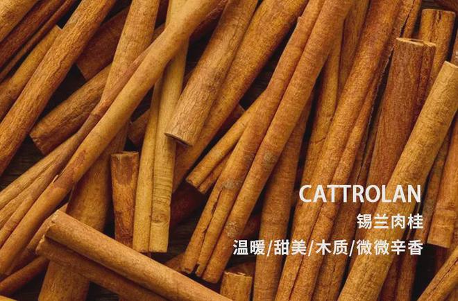 钱包批量转账怎么操作_im钱包怎么批量转账_钱包批量转账