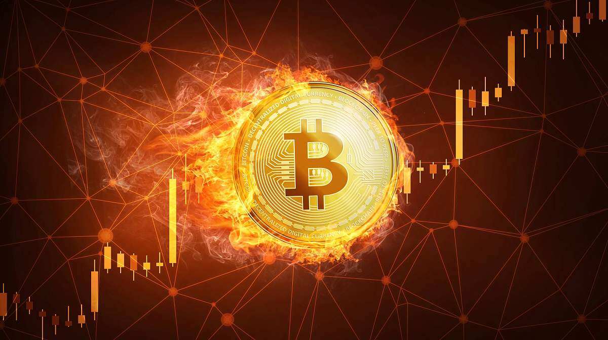 imtoken官方网站下载_官方下载网站_官方下载网站樱花校园免费