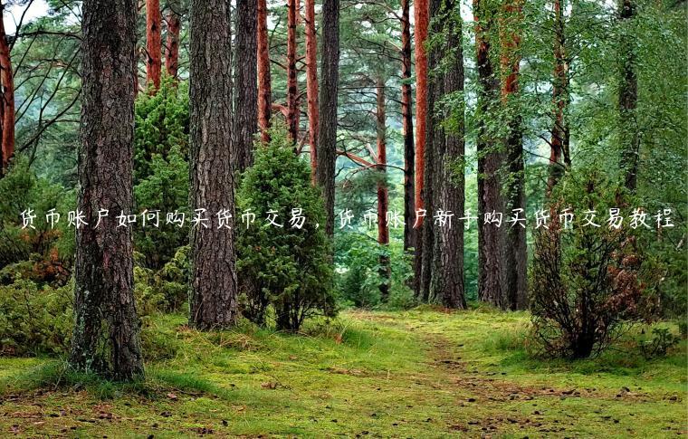 钱包公司是干嘛的_imtoken钱包公司在哪里_钱包公司的利弊有哪些