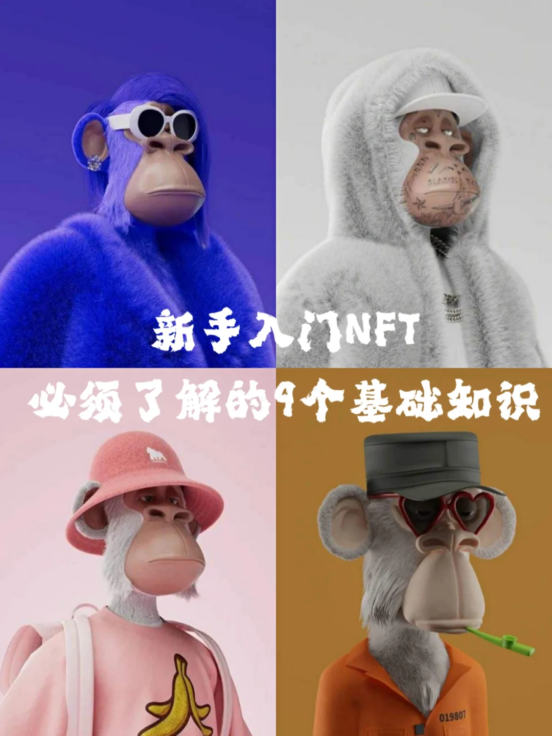 币发鸭脖BIFA_币发BIFA视频下载_imtoken自己发的币