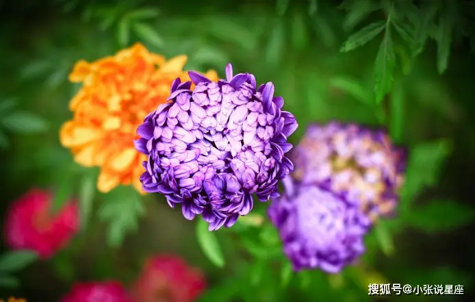 钱包是个什么软件_钱包是谁_im是什么钱包