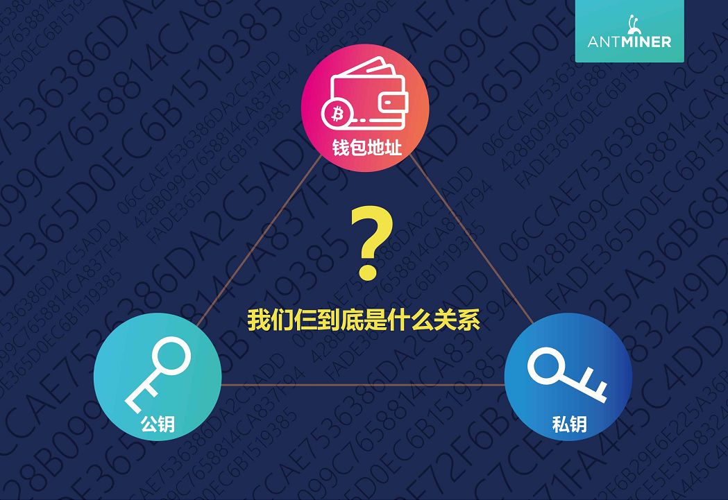 im钱包私钥是什么_钱包私钥是不是就是钱包地址_钱包私钥是多少位