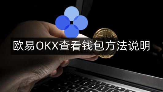 im钱包怎么修改交易密码_钱包支付密码已锁定怎么重置_怎么修改钱包锁手势密码