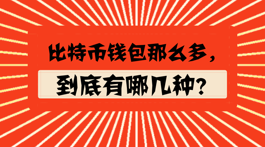 比特币钱包可以存哪些币_im钱包能放比特币吗_放比特币的钱包会不会跑路