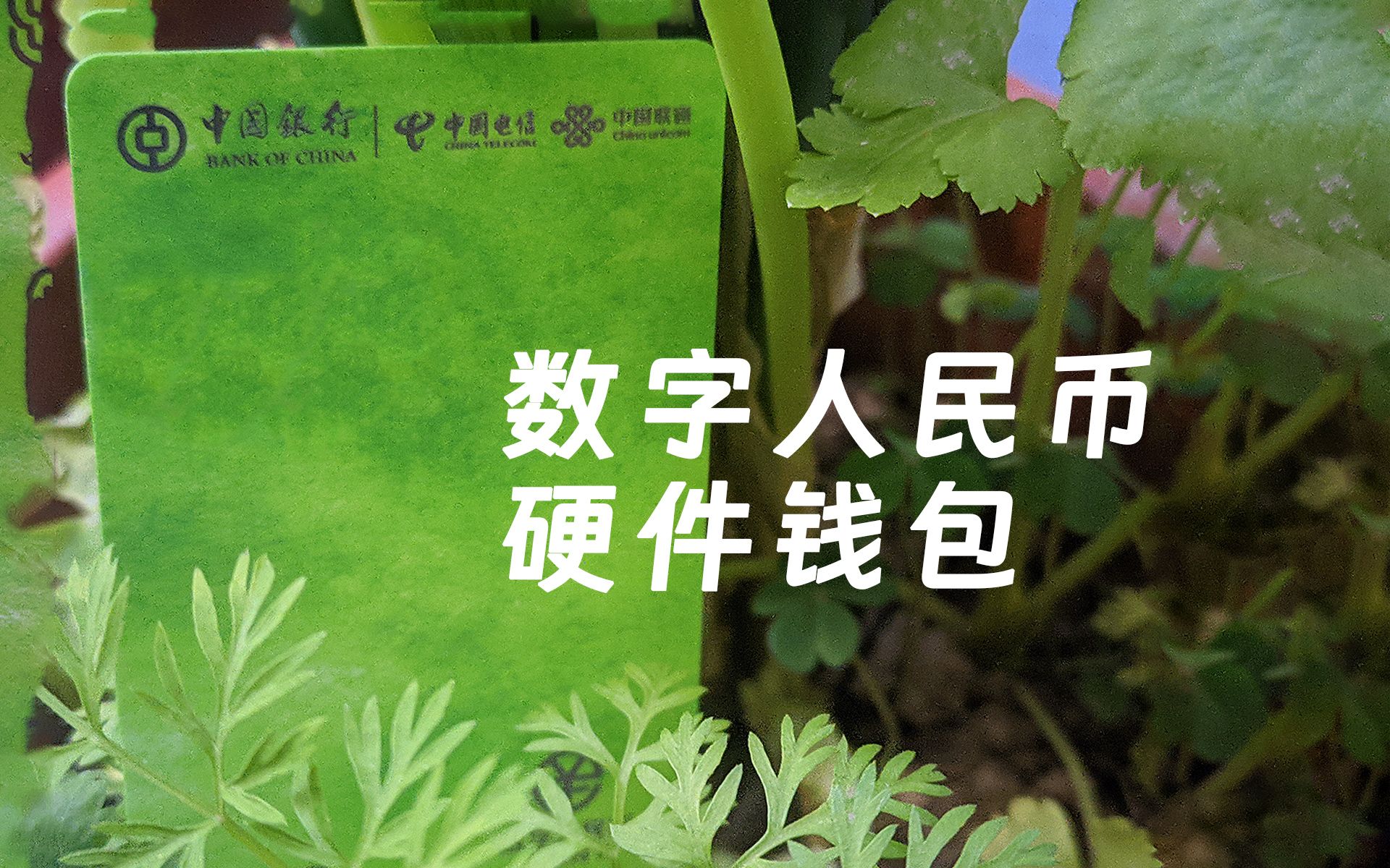 imtoken的币突然被转出_imtoken收到很多币_imtoken钱包币被转走