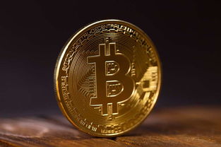 bitcash是比特币,什么是BitCash？
