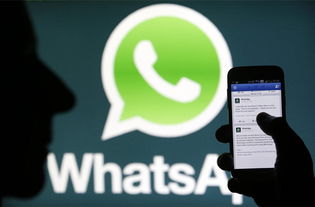 WhatsApp查不到电话簿,WhatsApp查不到电话簿的原因及解决方案
