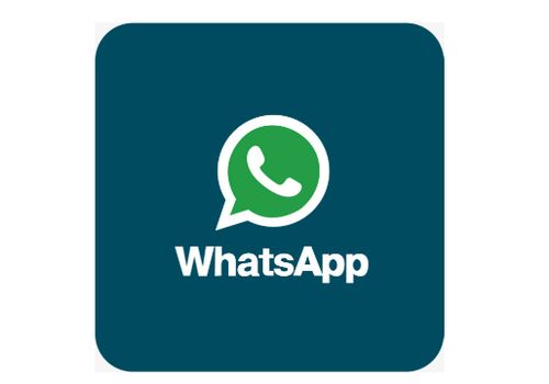 whatsapp 一直不在线,whatsapp什么意思中文