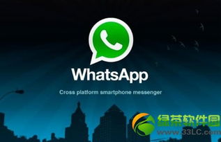 whatsapp 批量加人,高效拓展人脉的实用技巧