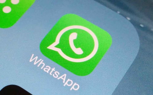 whatsapp 提示音 下载,个性化你的通讯体验