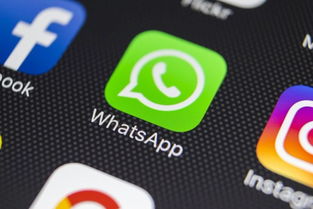 whatsapp百度云,轻松获取最新版WhatsApp