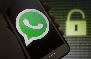 whatsapp 以色列人,社交与商业的双重魅力