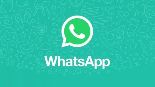 whatsapp 美女账号,虚拟魅力与真实互动的交织