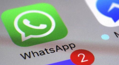 whatsapp发送状态图标,解锁社交秘密的密码