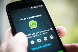 whatsapp 语言转听筒,WhatsApp语言转听筒技术革新揭秘