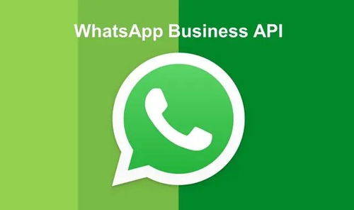 whatsapp不能发送验证,常见原因及解决方案