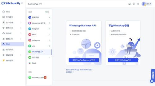 whatsapp 备注都没了,揭秘信息丢失背后的真相