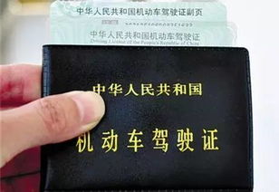 12123电子驾驶证app 