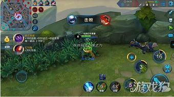 扁鹊出装