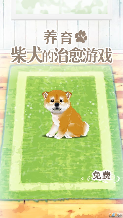 治愈使和受诅咒的地下城安卓直装版 治愈使和受诅咒的地下城安卓直装版