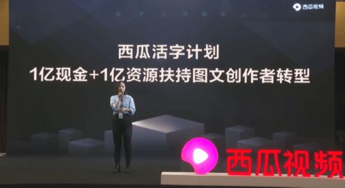 快手创作者版 