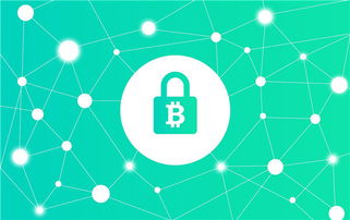 加密货币专业顾问,专业顾问视角下的机遇与挑战