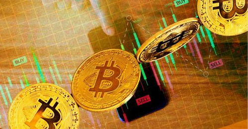 你喜欢的加密货币是,数字黄金的未来与挑战