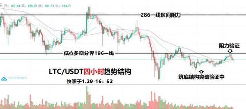纽约州以太坊莱特币,以太坊与莱特币的政府接受与未来展望