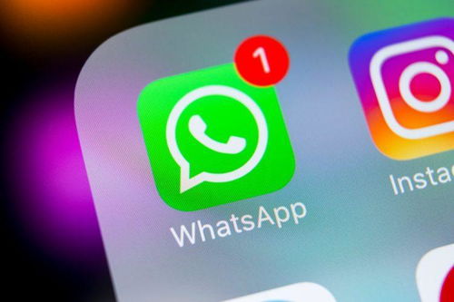 苹果手机怎么连接whatsapp,畅享即时通讯新体验