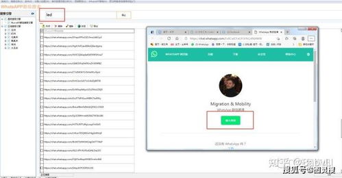 男友whatsapp 一直在线,揭秘男友WhatsApp时刻在线的秘密