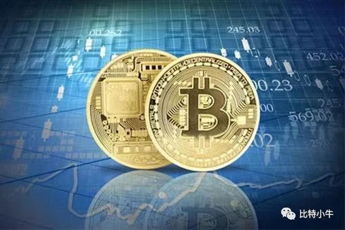 美国人拥有加密货币吗现在,美国加密货币持有现状解析