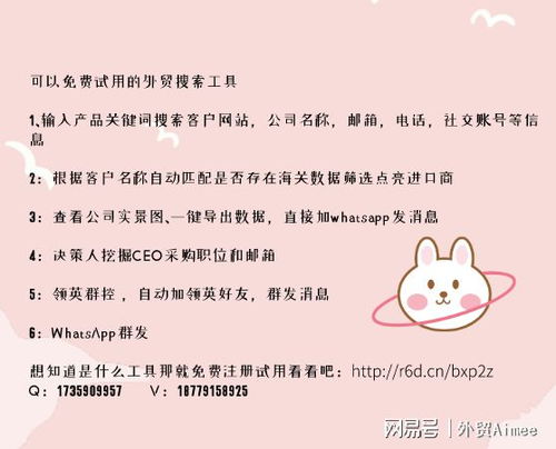 判断手机号是否注册WhatsApp,一键识别注册状态