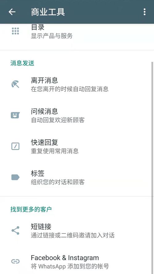 客户whatsapp,洞察与策略解析