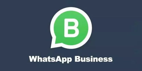 美国客户whatsapp区号