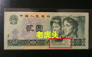 老虎头加密货币,崛起之路与未来展望