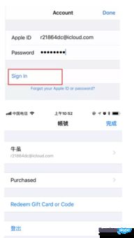 苹果商店可以下载skype吗,Skype通话应用轻松下载
