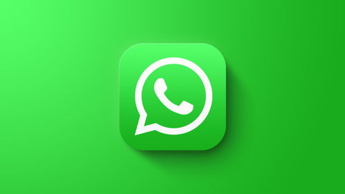 没有whatsapp 怎么说
