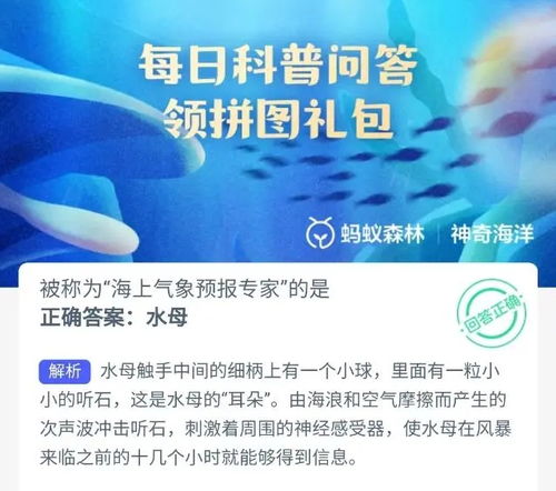 神奇海螺试验场 