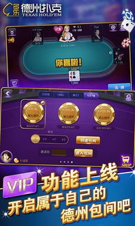 孤胆 *** 2单机游戏手机版 