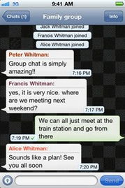 苹果whatsapp显示不能联网,探究原因及解决方案”