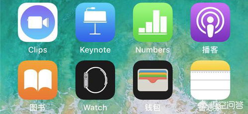 苹果手表备份whatsapp,轻松掌握数据安全与隐私保护