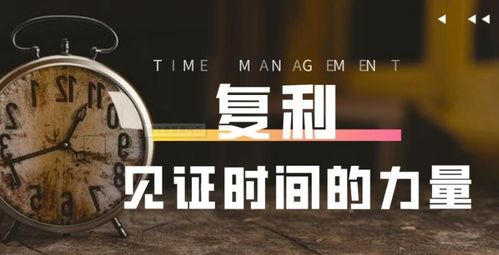 哪个钱包能存放usdt,揭秘最适合存放USDT的数字钱包