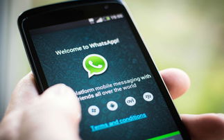 乐动穿戴的whatsapp,WhatsApp引领智能穿戴新潮流