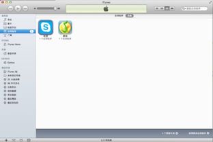 苹果平板skype怎么安装,苹果平板上Skype安装指南
