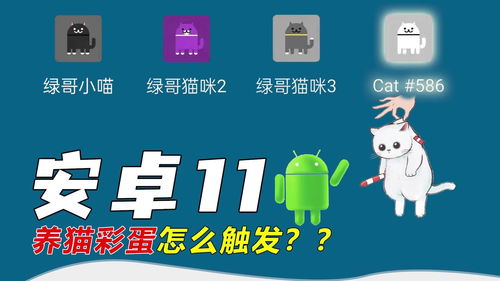 幻影wifi安卓11 