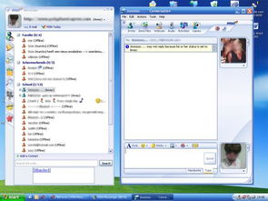 skypelive,打造实时互动新体验
