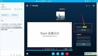 skypebusiness隐身,高效沟通的秘密武器
